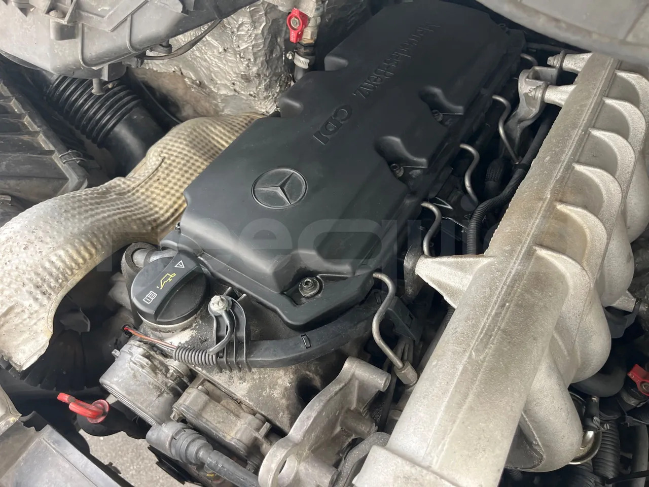 Bus interurbain Mercedes-Benz Sprinter: photos 19