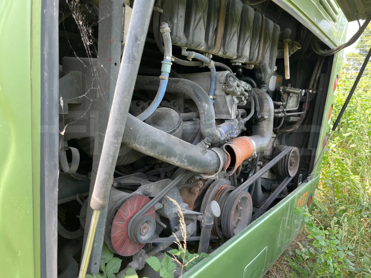 Temsa Safari — crédit-bail Temsa Safari: photos 6