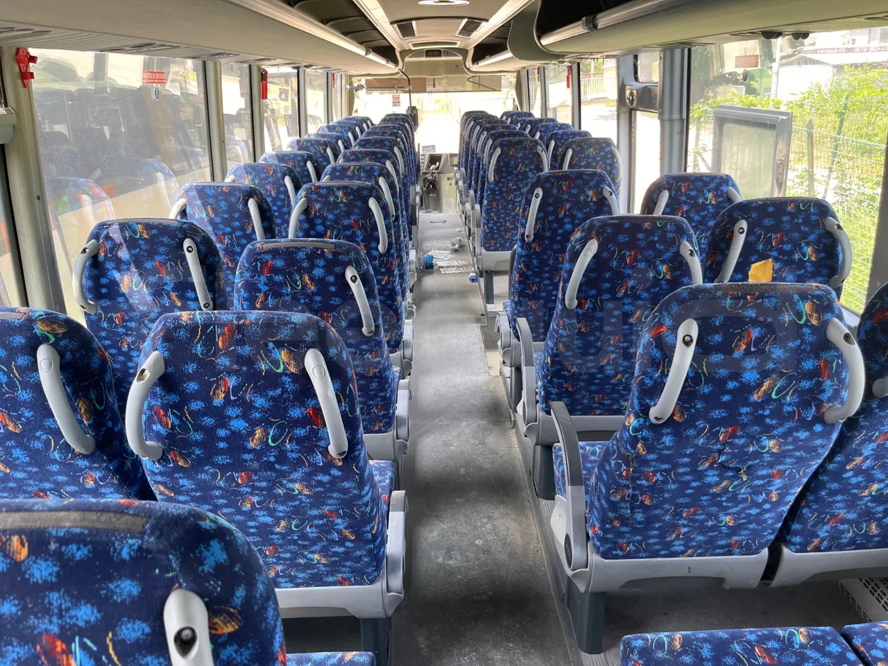 Temsa Safari — crédit-bail Temsa Safari: photos 16