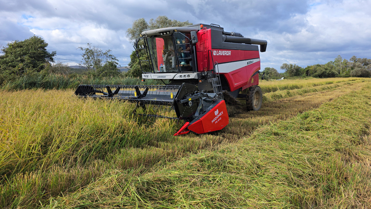 Modonex FE-600 - Moissoneuse: photos 4 Modonex FE-600 - Moissoneuse: photos 4