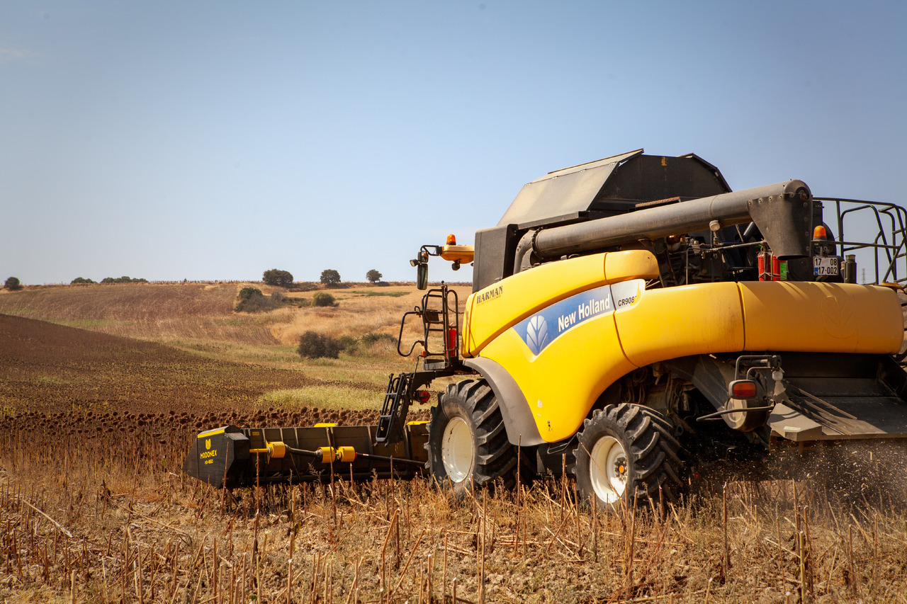 Modonex MX-630 - Equipement à tournesol: photos 3 Modonex MX-630 - Equipement à tournesol: photos 3