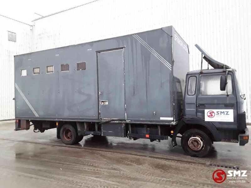 Iveco Magirus 80 16 horse truck - Camion bétaillère: photos 4 Iveco Magirus 80 16 horse truck - Camion bétaillère: photos 4