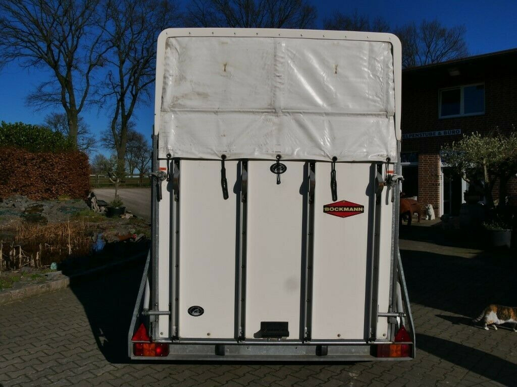 Böckmann Big Master Boden NEU - Van chevaux: photos 3 Böckmann Big Master Boden NEU - Van chevaux: photos 3