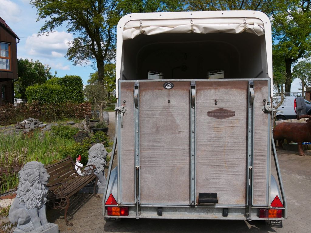 Böckmann Cavallo Böckmann Cavallo - Van chevaux: photos 2 Böckmann Cavallo Böckmann Cavallo - Van chevaux: photos 2