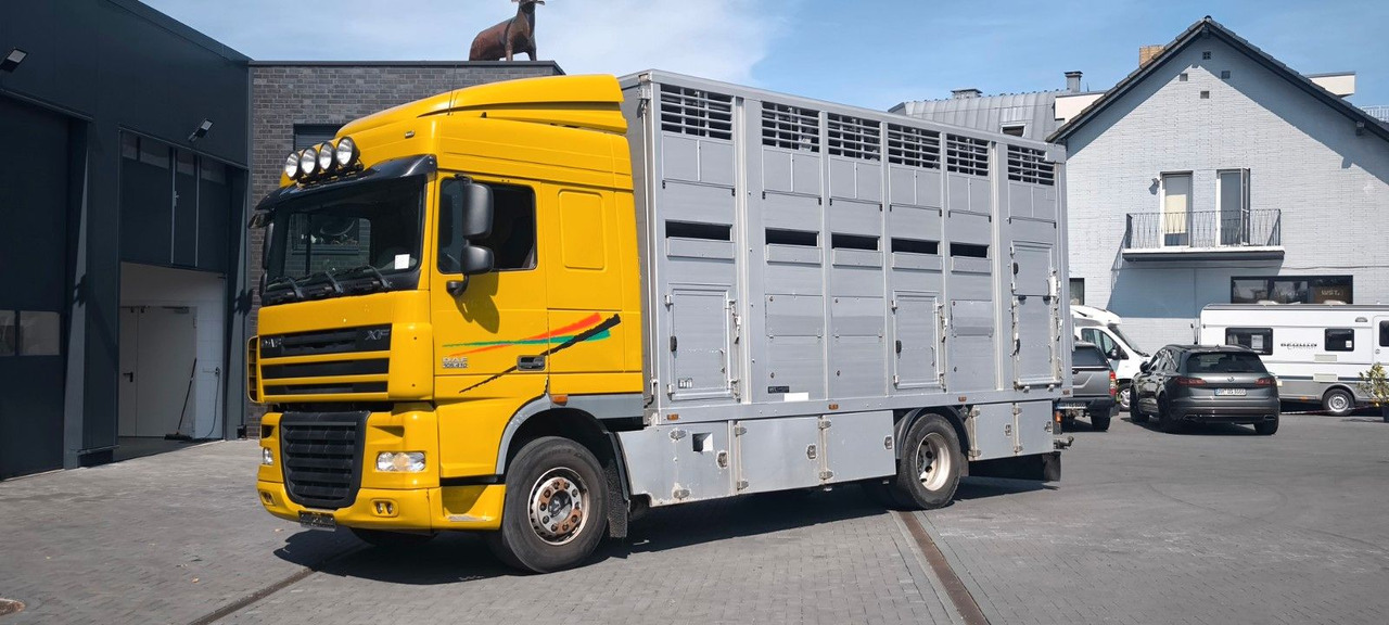 DAF XF 410 SC Menke Doppelstock - Camion chevaux: photos 5 DAF XF 410 SC Menke Doppelstock - Camion chevaux: photos 5
