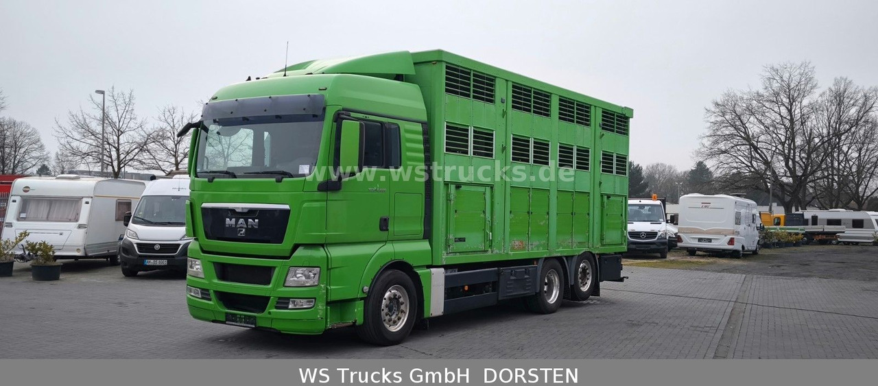 MAN TGX 26.480 XL KABA 3 Stock Viehtransporter - Camion chevaux: photos 2 MAN TGX 26.480 XL KABA 3 Stock Viehtransporter - Camion chevaux: photos 2