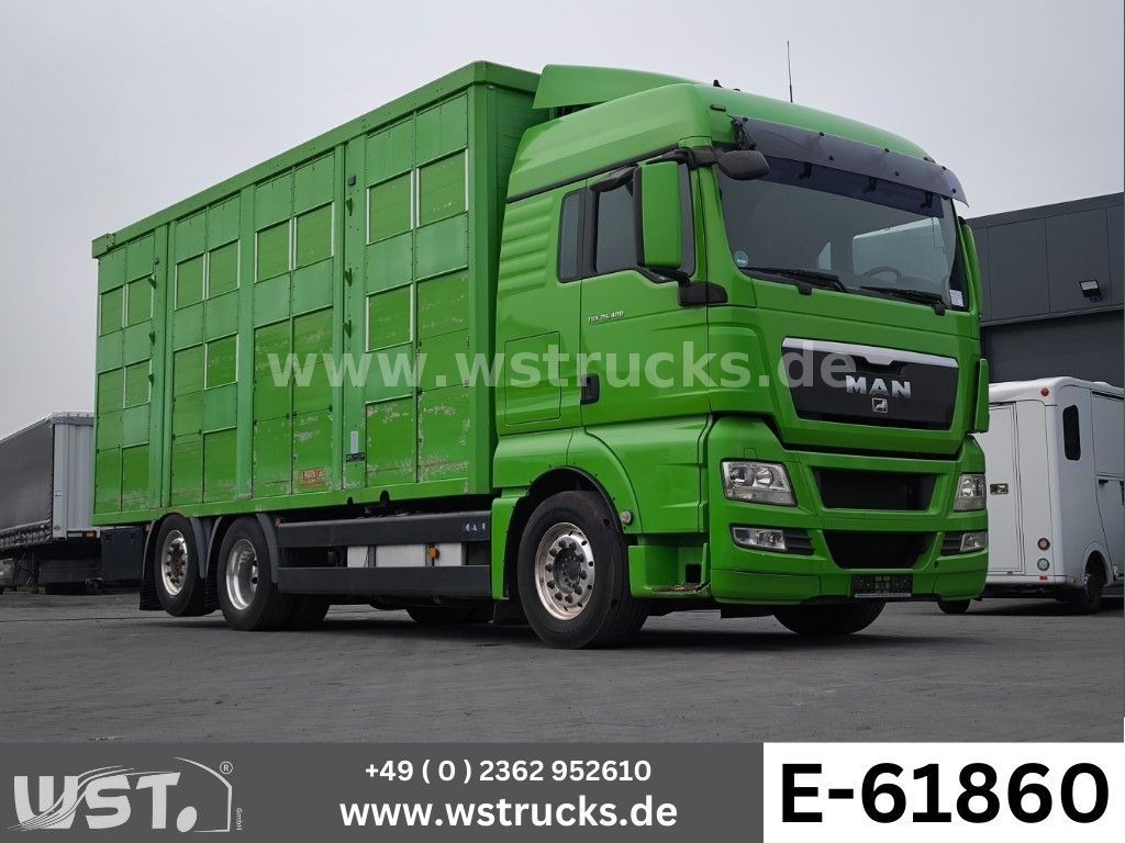 MAN TGX 26.480 XL KABA 3 Stock Vollalu - Camion chevaux: photos 1 MAN TGX 26.480 XL KABA 3 Stock Vollalu - Camion chevaux: photos 1