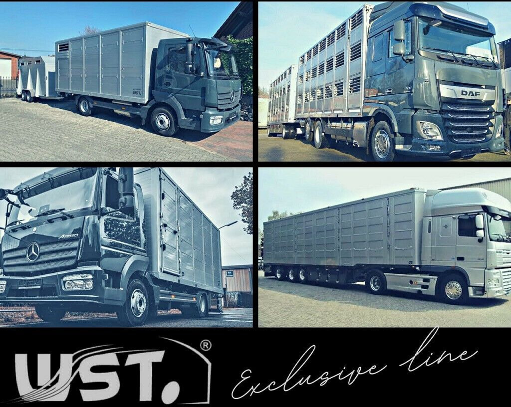 Remorque porte-conteneur/ Caisse mobile Schmitz Cargobull BDF Wechselbrücke AFW 18: photos 14
