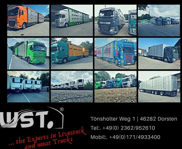 Semi-remorque fourgon Schmitz Cargobull SKO 24 Kühlauflieger | Rohrbahn Vector 1850Mt: photos 22