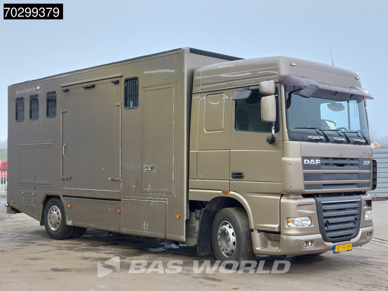 DAF XF105.410 XF 4X2 NL-Truck JK Horsetruck 6 Horses Pferdentransport Manual Euro 5 - Camion chevaux: photos 3 DAF XF105.410 XF 4X2 NL-Truck JK Horsetruck 6 Horses Pferdentransport Manual Euro 5 - Camion chevaux: photos 3