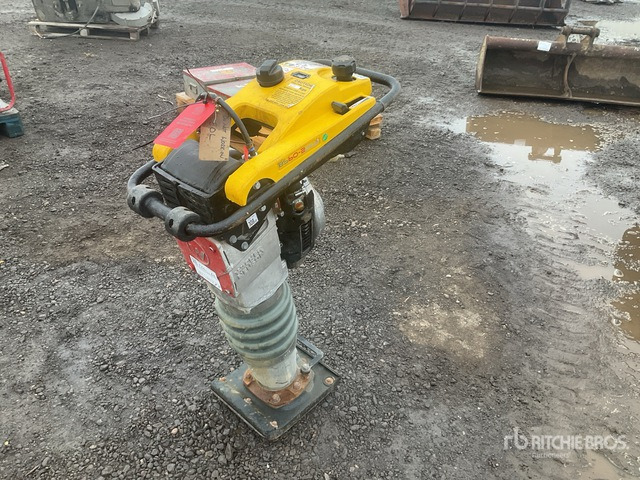 2020 Wacker Neuson BS50-2plus Demolition Breaker Jumping Jack Tamper - Pilonneuse: photos 2 2020 Wacker Neuson BS50-2plus Demolition Breaker Jumping Jack Tamper - Pilonneuse: photos 2