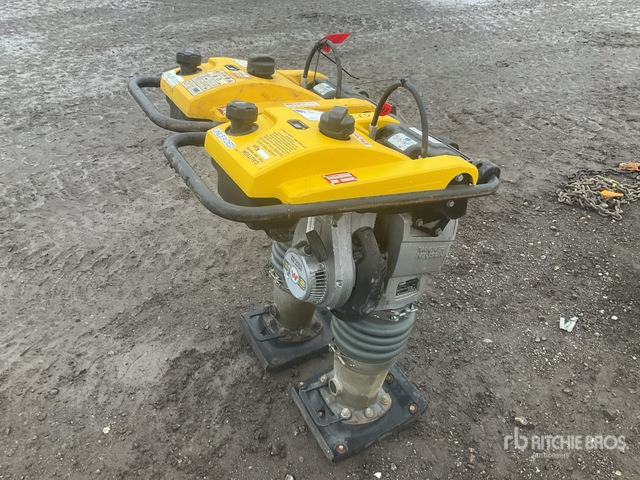 2020 Wacker Neuson BS50-2plus Jumping Jack Tamper Jumping Jack Tamper - Pilonneuse: photos 4 2020 Wacker Neuson BS50-2plus Jumping Jack Tamper Jumping Jack Tamper - Pilonneuse: photos 4
