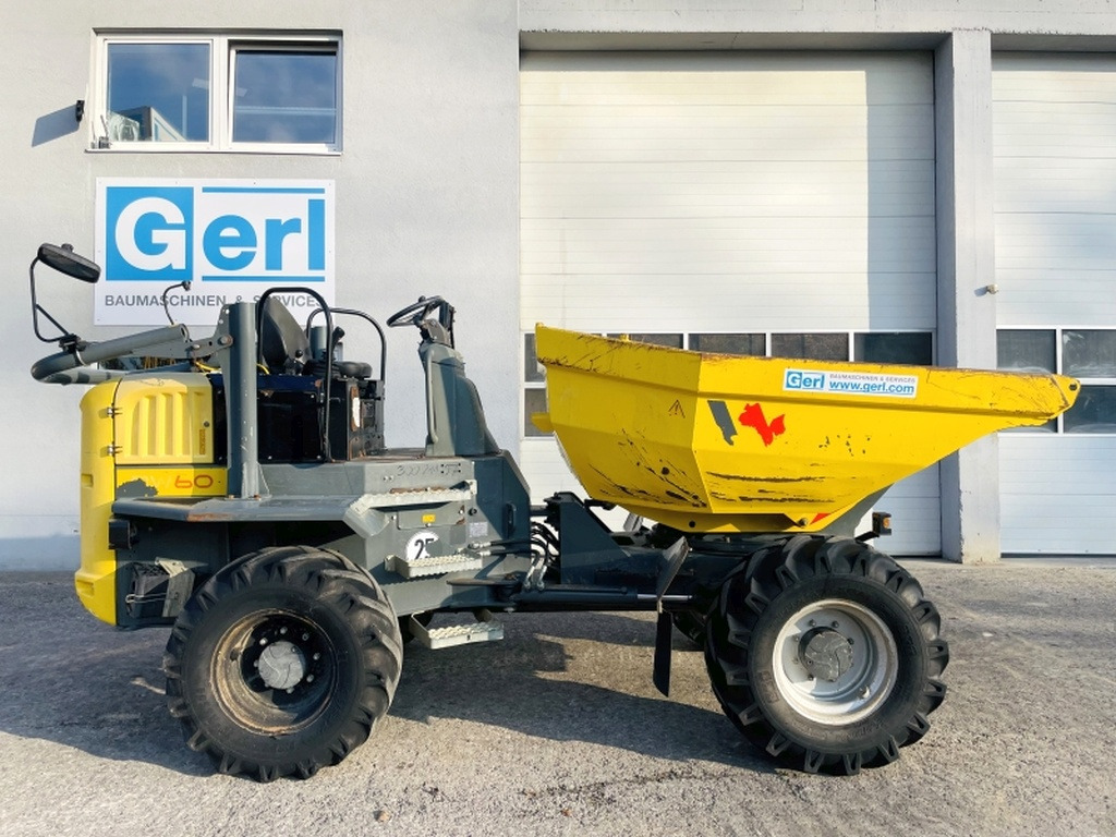 Neuson DW60 (3912) - Mini tombereau: photos 2 Neuson DW60 (3912) - Mini tombereau: photos 2