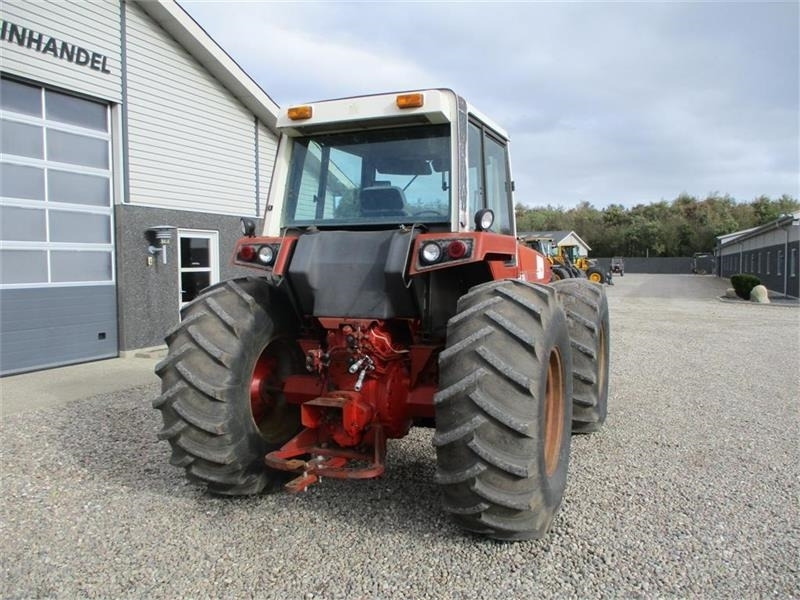 Tracteur agricole International 3588 Amerikaner klassiker: photos 17