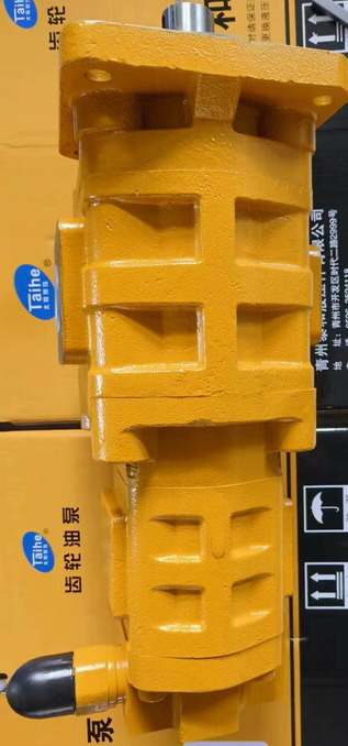 Qingdao Promising Hydraulic Double Gear Pumps Fit China Loader - Pompe hydraulique pour Chargeuse sur pneus: photos 4 Qingdao Promising Hydraulic Double Gear Pumps Fit China Loader - Pompe hydraulique pour Chargeuse sur pneus: photos 4