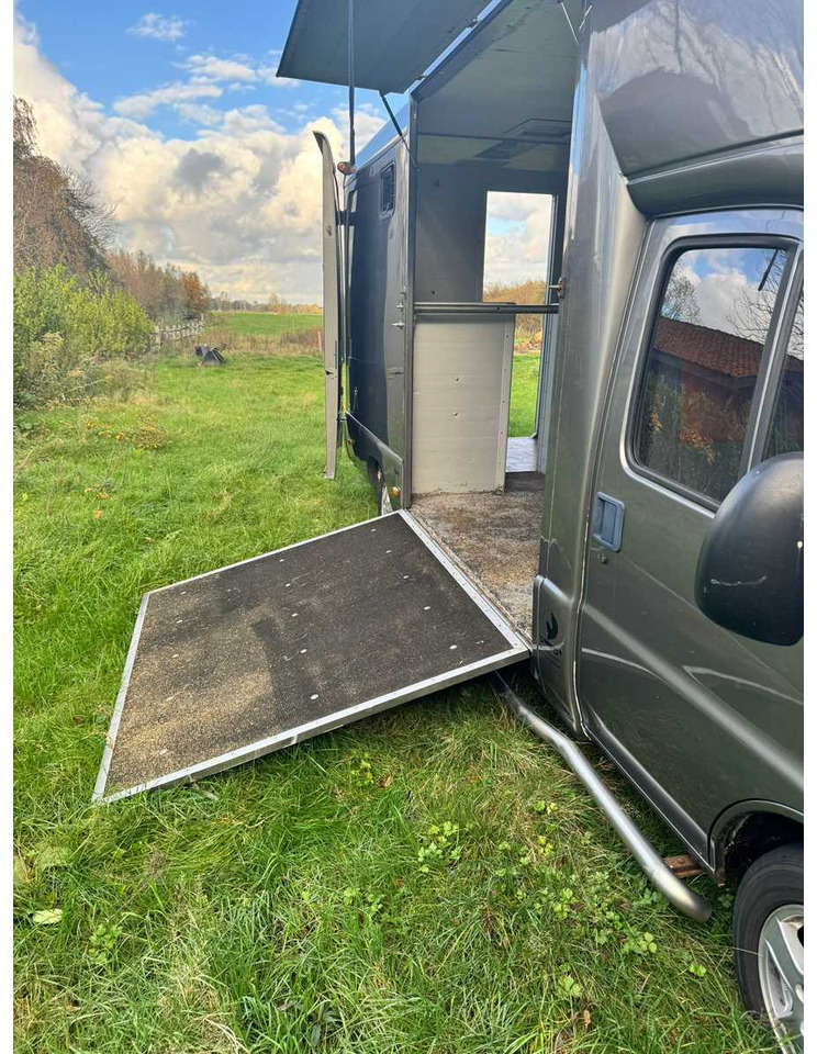 1999 FIAT DUCATO MAXI 18 2.8 ID 598-140 HORSE TRUCK - Véhicule utilitaire: photos 5 1999 FIAT DUCATO MAXI 18 2.8 ID 598-140 HORSE TRUCK - Véhicule utilitaire: photos 5