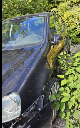Golf gtd - Voiture: photos 4 Golf gtd - Voiture: photos 4
