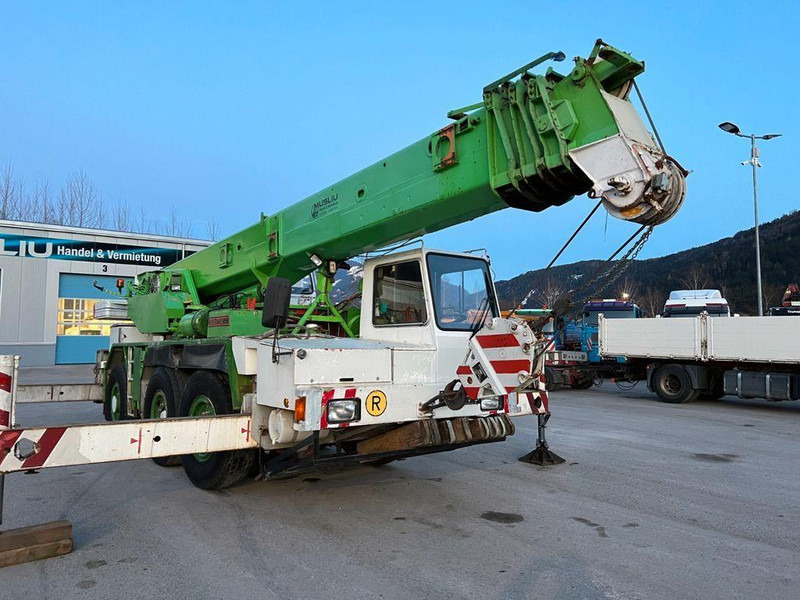 Liebherr LTM 1035 Mobildaru — crédit-bail Liebherr LTM 1035 Mobildaru: photos 6