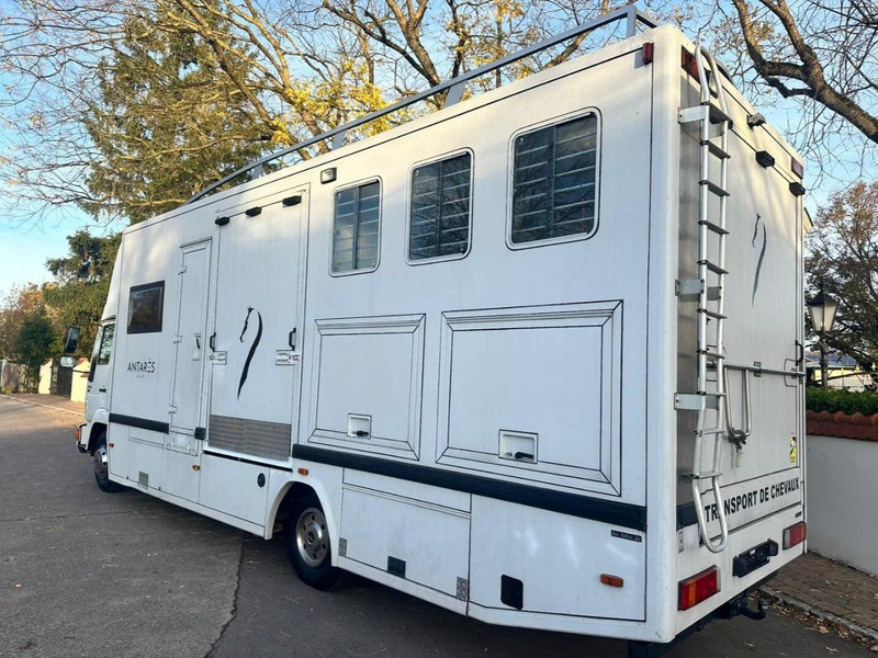 MAN 10.224 - Camion chevaux: photos 3 MAN 10.224 - Camion chevaux: photos 3
