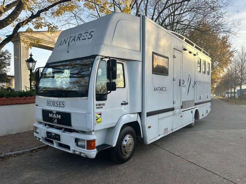 MAN 10.224 - Camion chevaux: photos 2 MAN 10.224 - Camion chevaux: photos 2