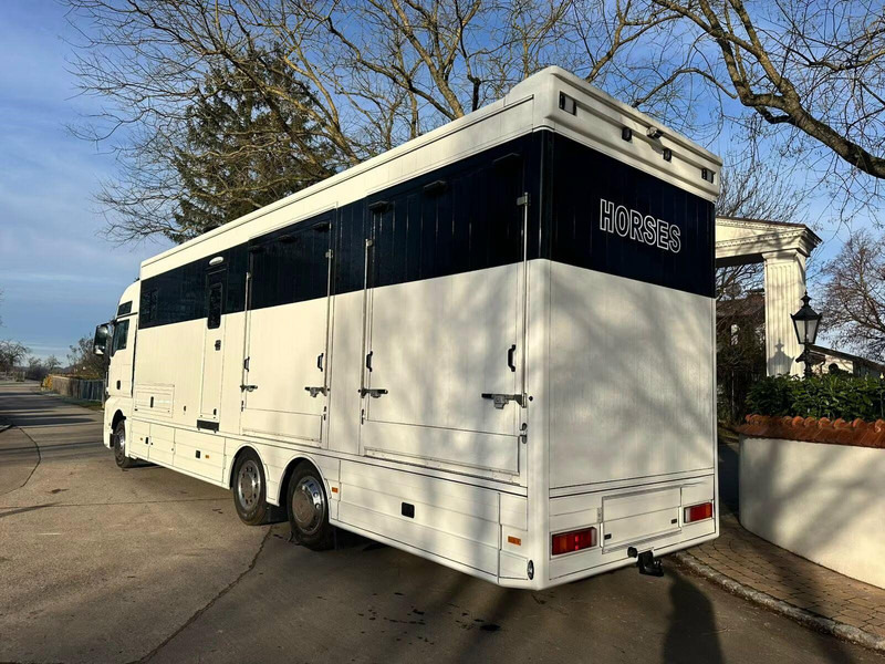 MAN TGX 26.440 - Horse transporter - Camion chevaux: photos 4 MAN TGX 26.440 - Horse transporter - Camion chevaux: photos 4