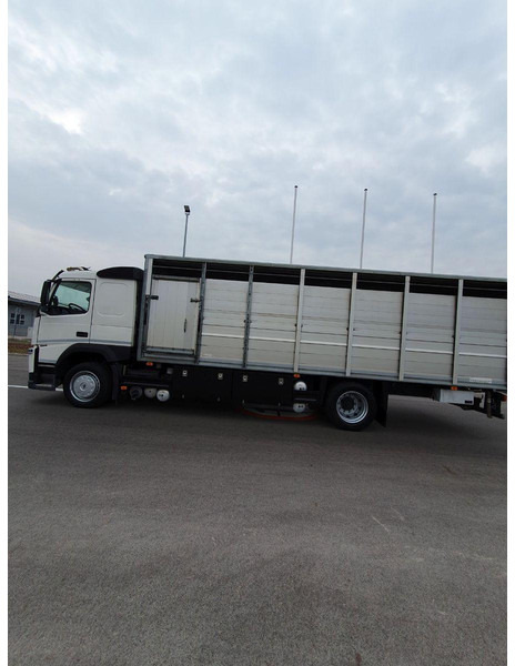 Volvo FM 500 Viehtransporter ( Rind / beef ) - Camion bétaillère: photos 5 Volvo FM 500 Viehtransporter ( Rind / beef ) - Camion bétaillère: photos 5