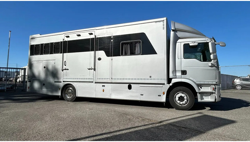 MAN TGM 15.250 5 horses and living brand Krismar - Camion chevaux: photos 1 MAN TGM 15.250 5 horses and living brand Krismar - Camion chevaux: photos 1