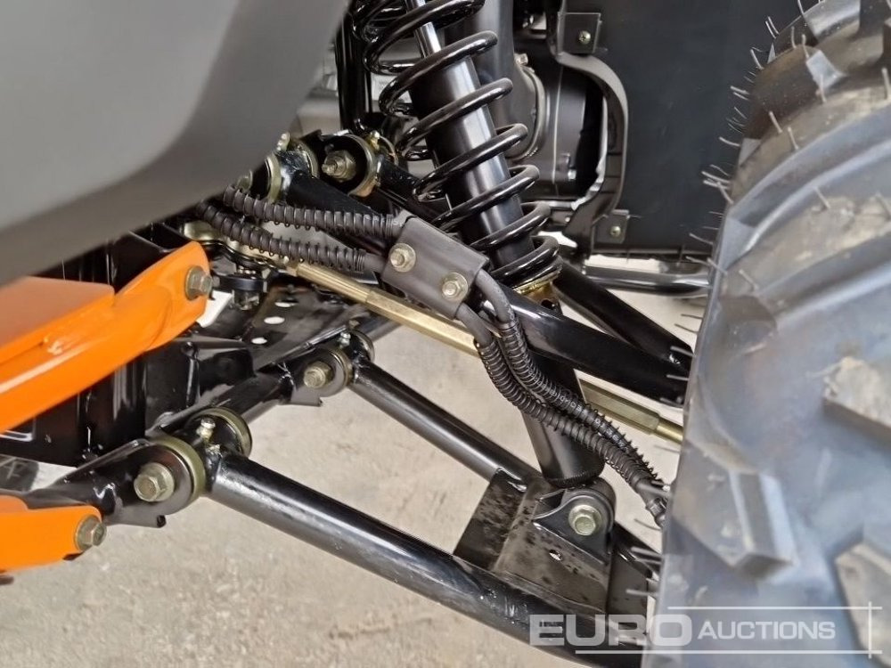 Quadricycle Unused TAO Motors TGA300F: photos 14