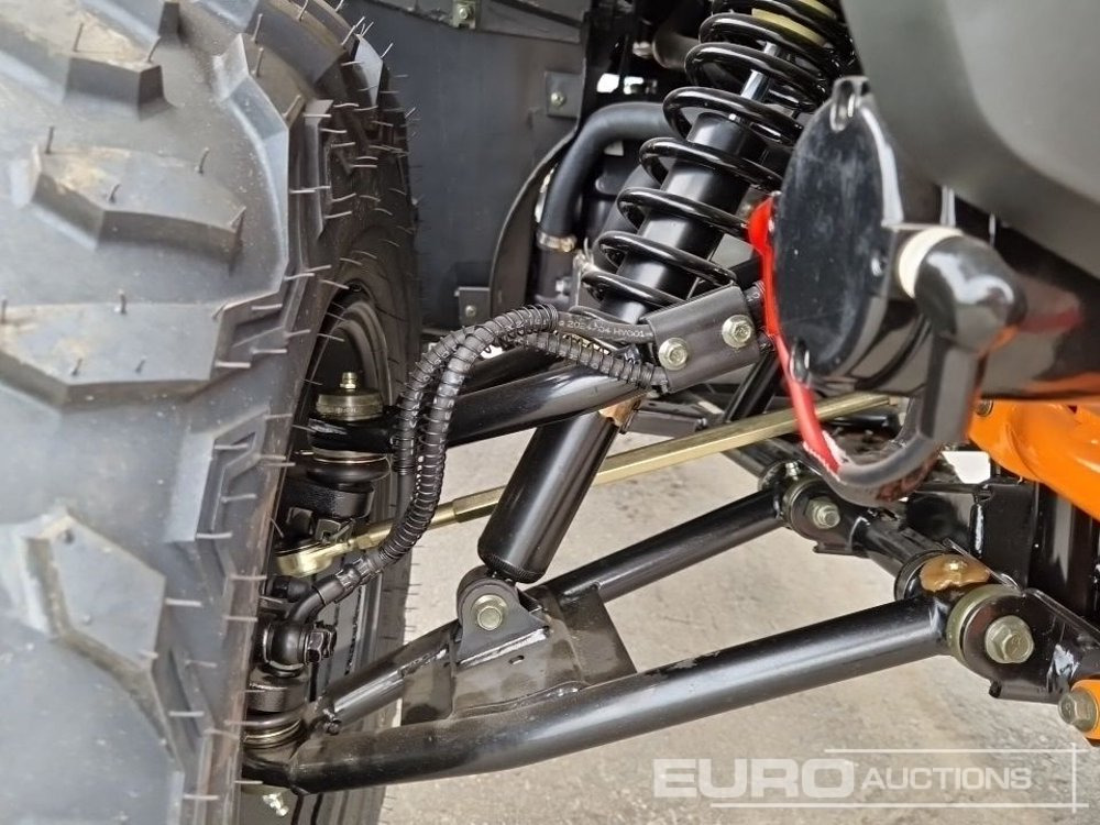 Quadricycle Unused TAO Motors TGA300F: photos 13