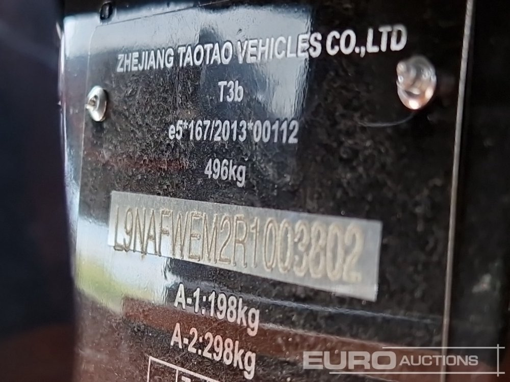 Quadricycle Unused TAO Motors TGA300F: photos 26