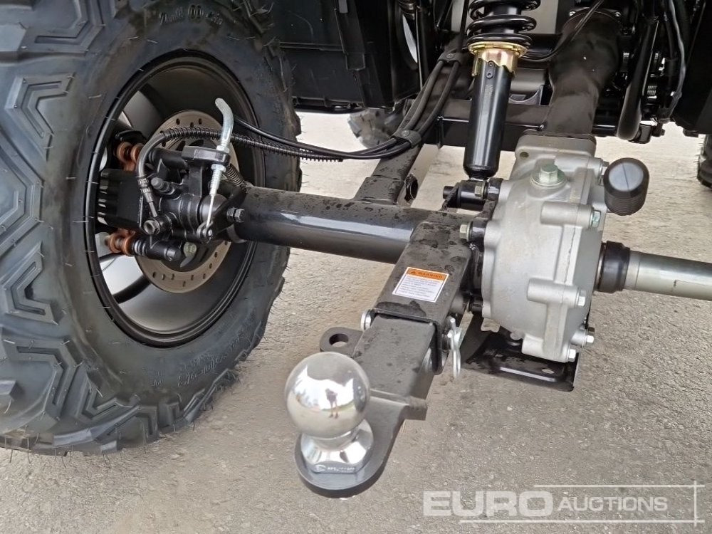 Quadricycle Unused TAO Motors TGA300F: photos 16