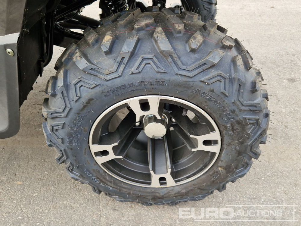 Quadricycle Unused TAO Motors TGA300F: photos 11