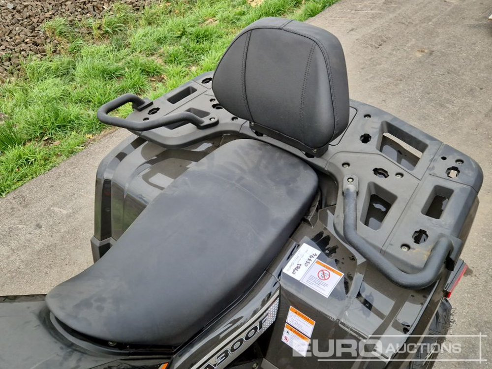 Quadricycle Unused TAO Motors TGA300F: photos 21