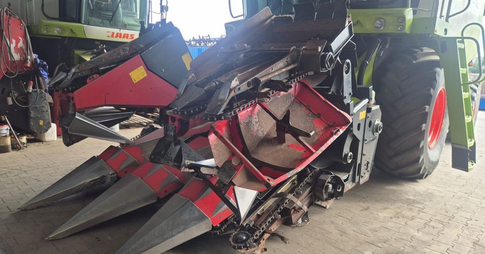 Dominoni - Cueilleur de maïs: photos 5 Dominoni - Cueilleur de maïs: photos 5