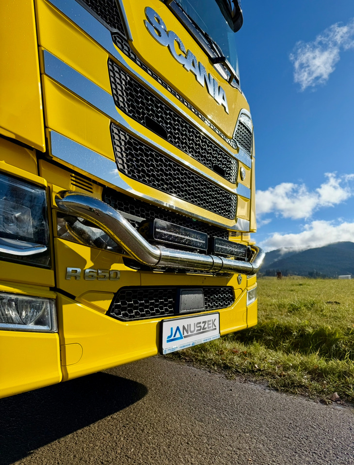 Camion grumier, Camion grue SCANIA R650: photos 11