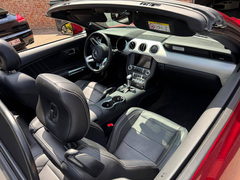 Berline Ford Mustang GT Convertible: photos 6 Berline Ford Mustang GT Convertible: photos 6