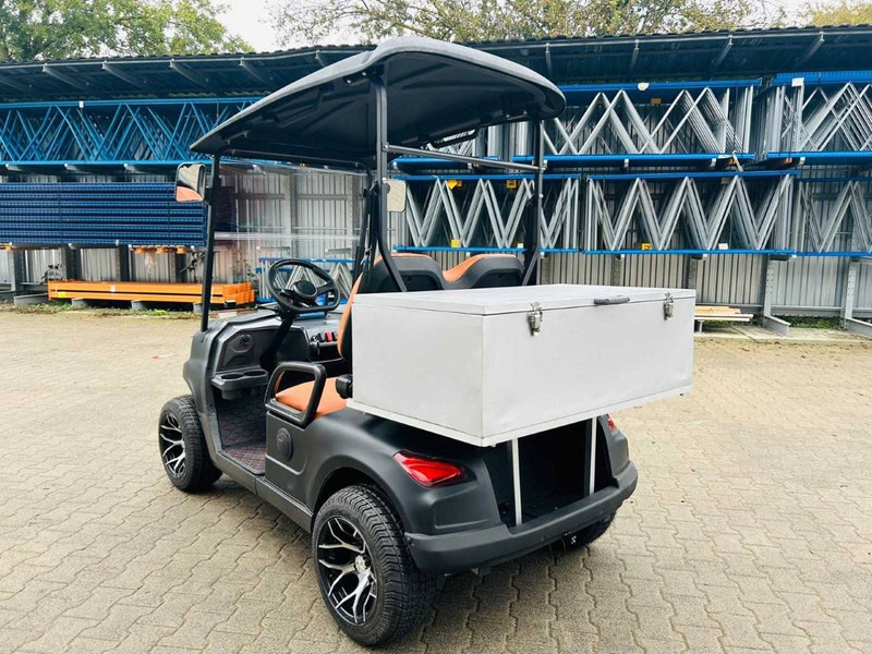 Voiturette de golf neuf RTE: photos 8 Voiturette de golf neuf RTE: photos 8