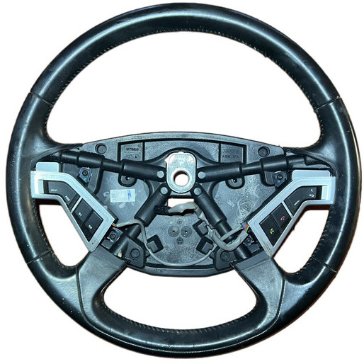 Renault - Volant: photos 2 Renault - Volant: photos 2