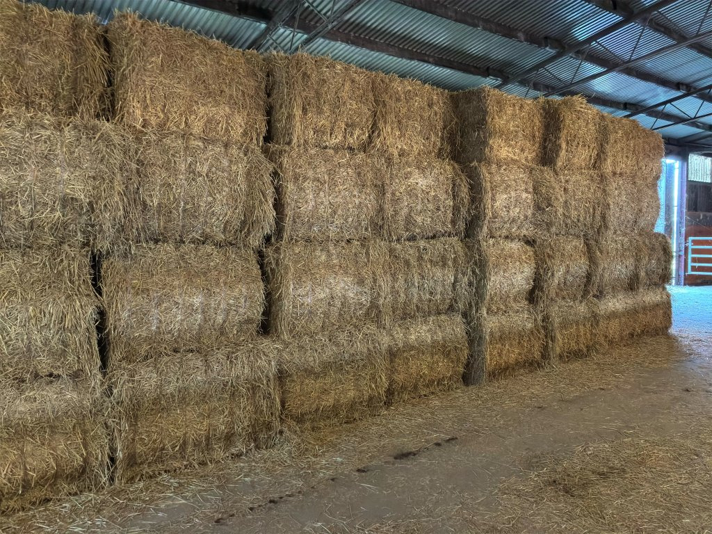 60 st - Matériel d'élevage: photos 4 60 st - Matériel d'élevage: photos 4