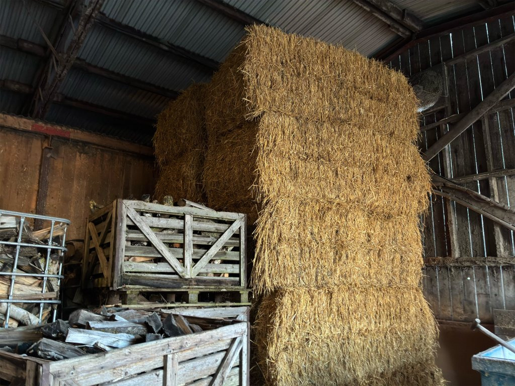 60 st - Matériel d'élevage: photos 5 60 st - Matériel d'élevage: photos 5