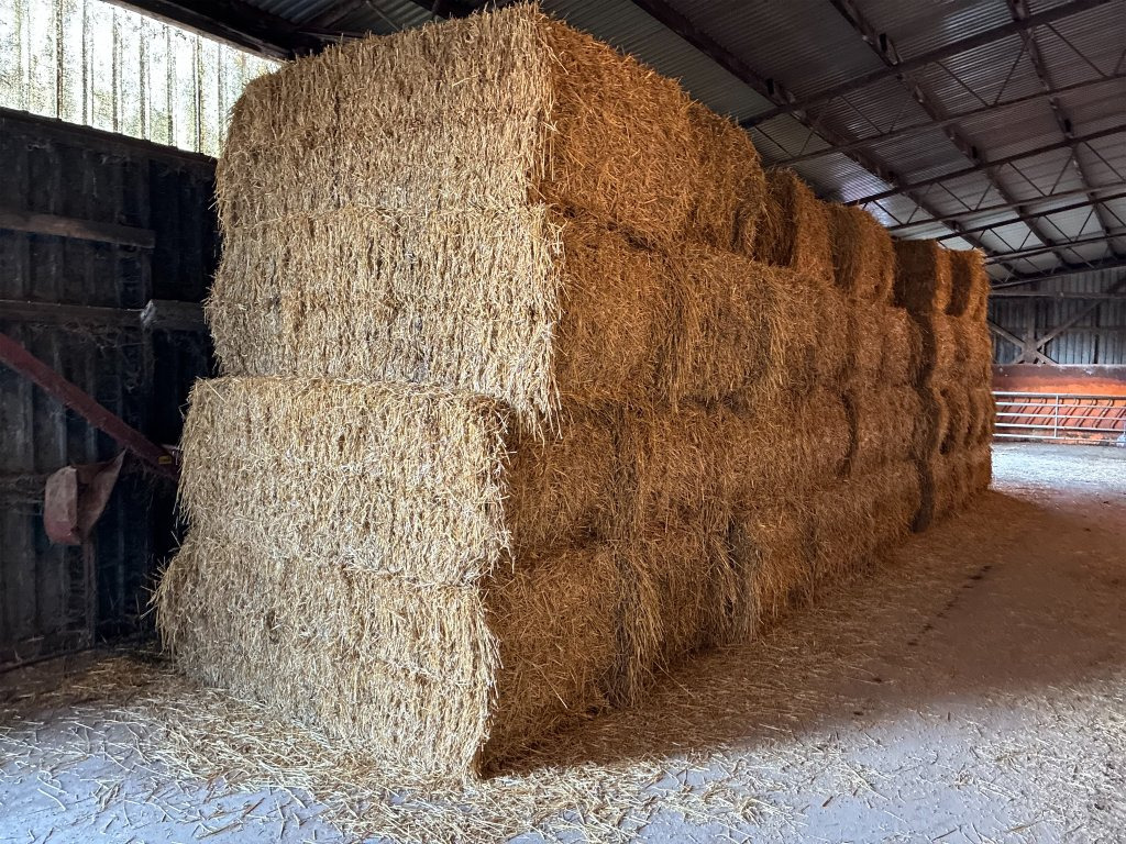 60 st - Matériel d'élevage: photos 1 60 st - Matériel d'élevage: photos 1