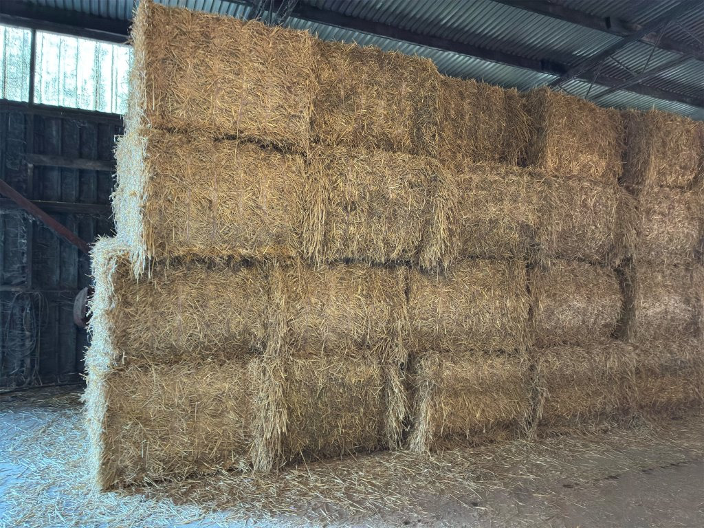 60 st - Matériel d'élevage: photos 3 60 st - Matériel d'élevage: photos 3