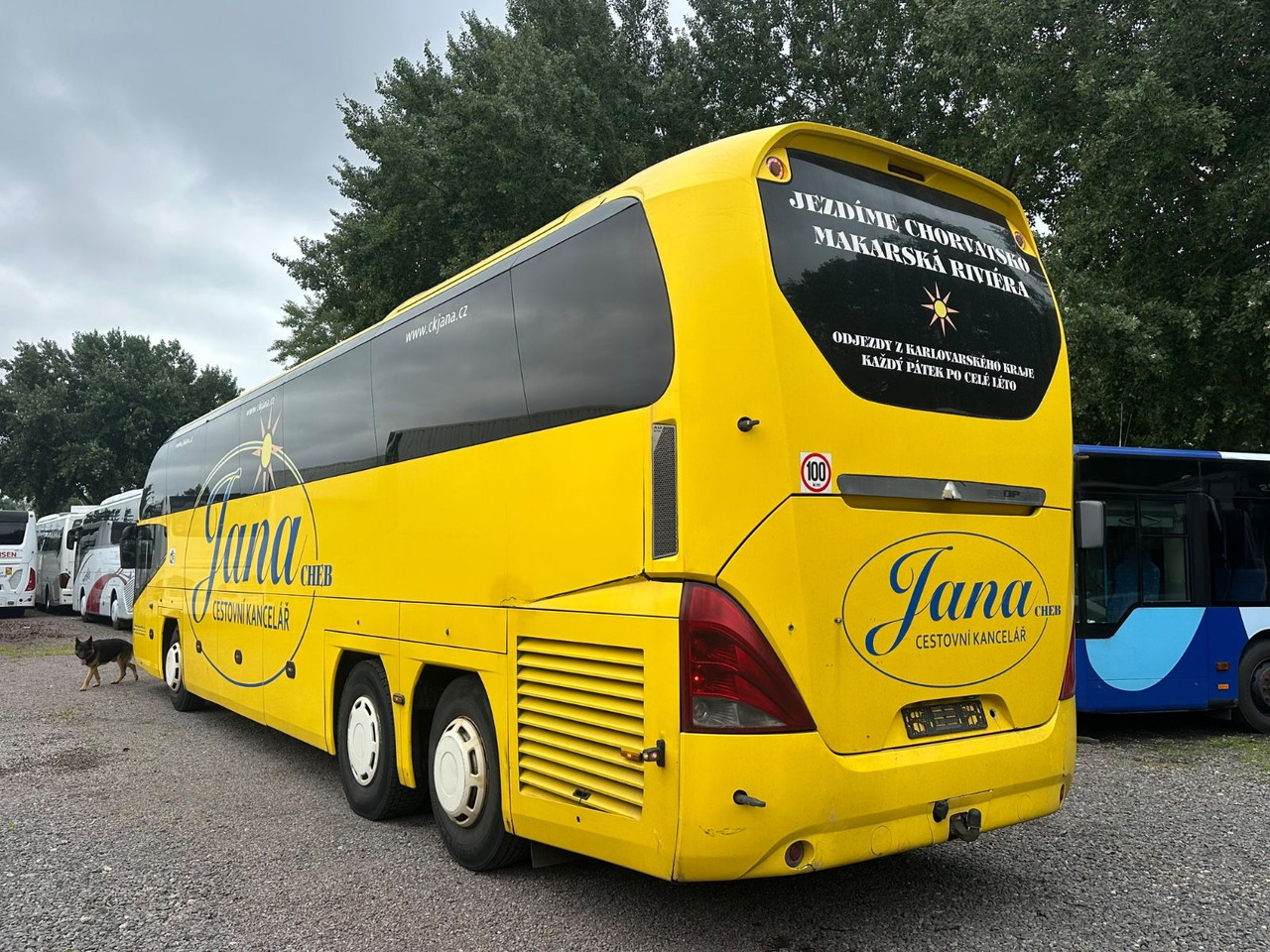 Neoplan P15 Cityliner Euro4*55 Sitze - Autocar: photos 2 Neoplan P15 Cityliner Euro4*55 Sitze - Autocar: photos 2